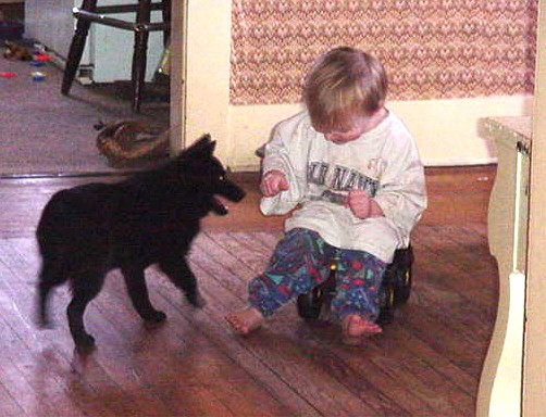 Phebe playing with the boys one morning... here she's playing with her buddy, Garrett.