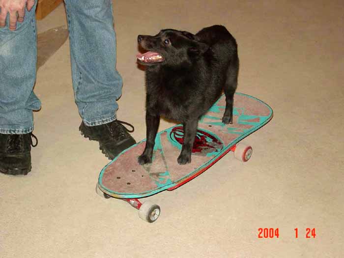 Austin - the next Tony Hawk? :)