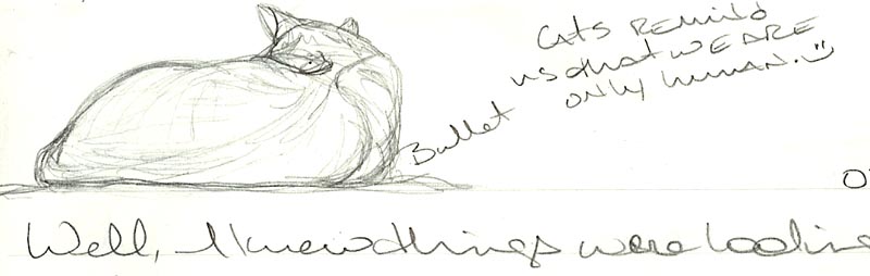 Bullet