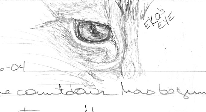 Eko's eye