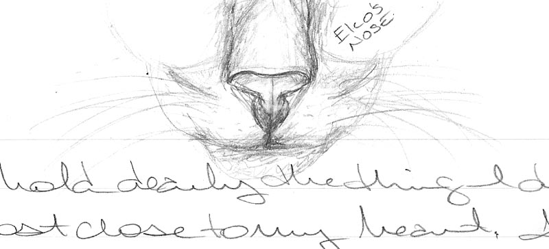 Eko's nose