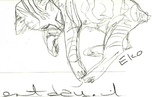 Very loose sketch of Eko