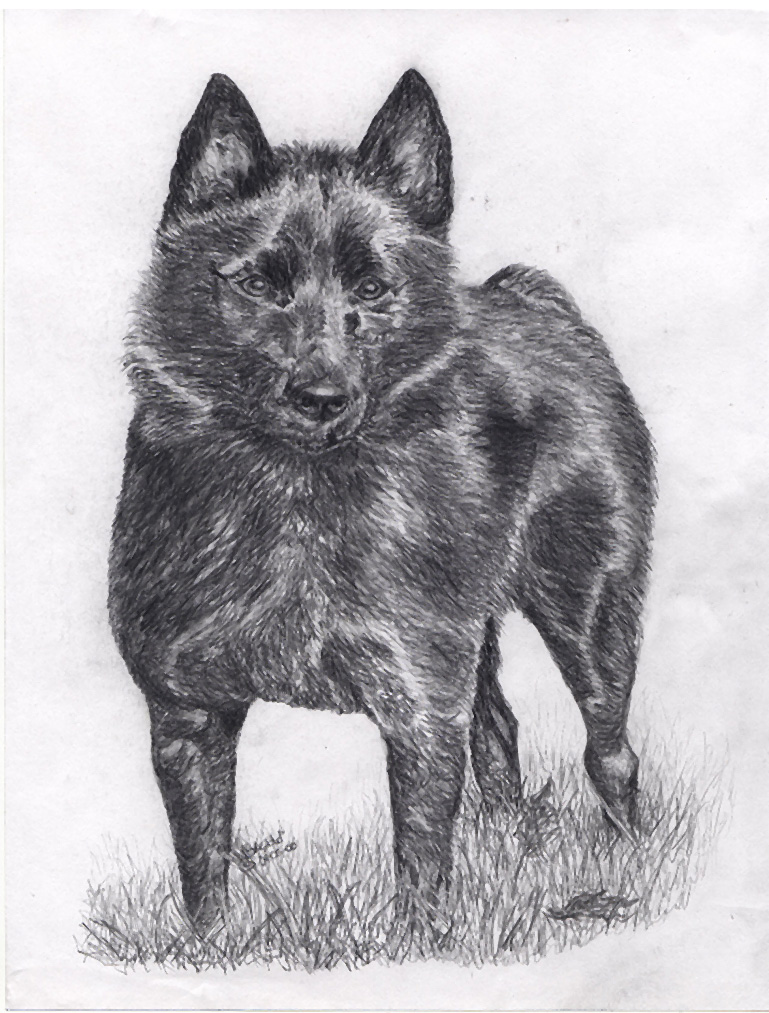 In memory of Grendel