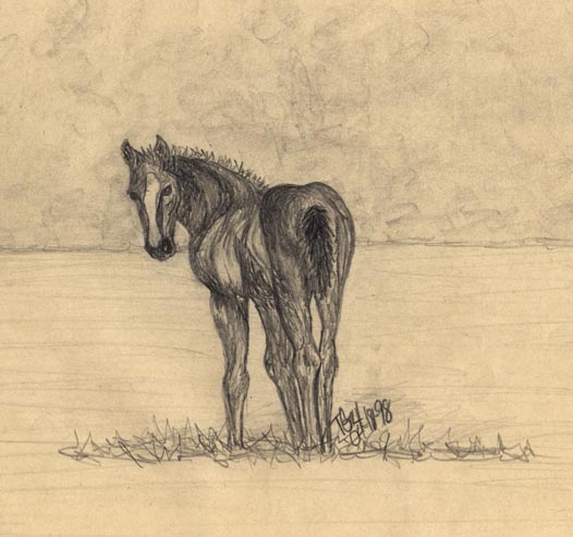See 
me on the Horse Art page - Foal Series