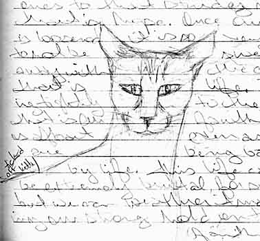 Ticked Off Kitty